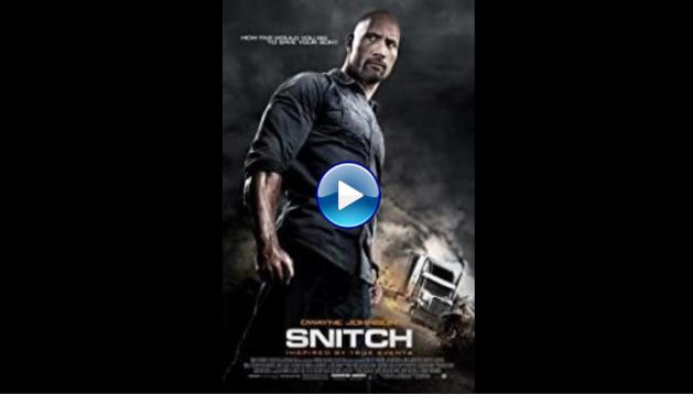 Snitch (2013)