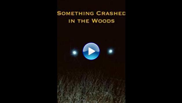 Something Crashed in the Woods (2019)