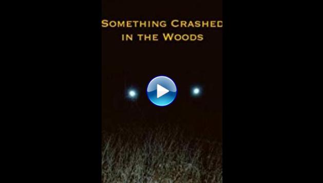 Something Crashed in the Woods (2019)