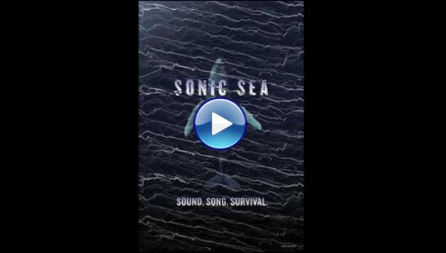 Sonic Sea (2016)