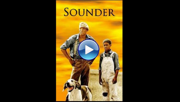 Sounder (1972)