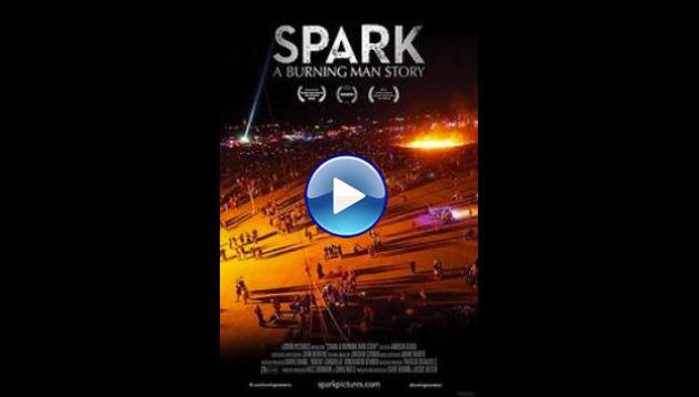 Spark: A Burning Man Story (2013)