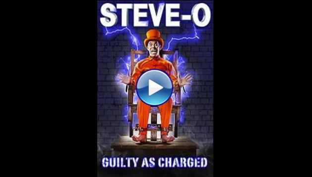 Steve-O: Guilty as Charged (2016)