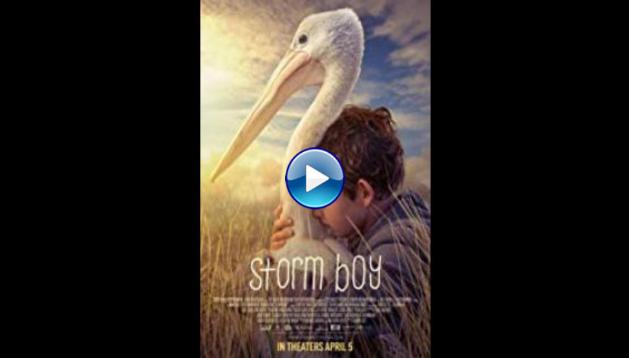 Storm Boy (2019)