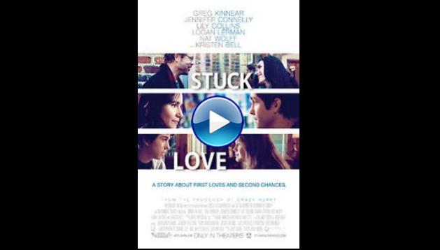 Stuck in Love. (2012)