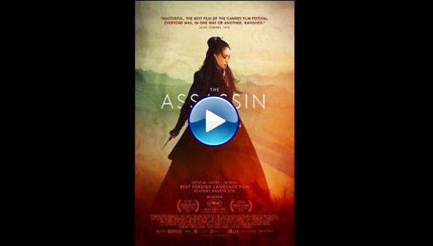 The Assassin (2015)