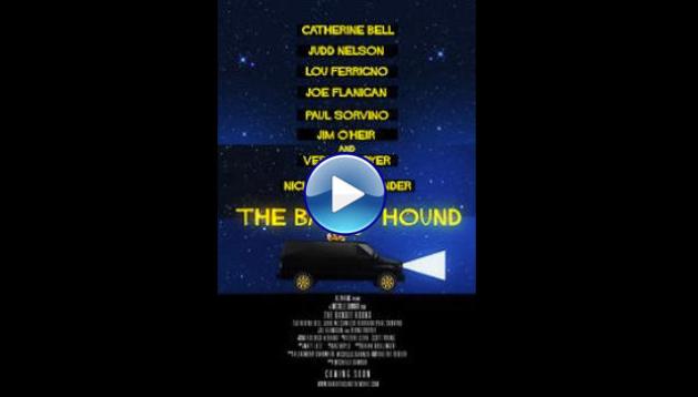 The Bandit Hound (2016)