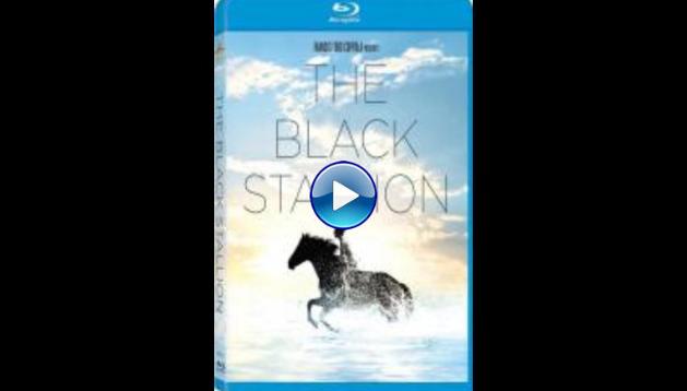 The Black Stallion (1979)