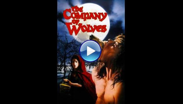 The Company of Wolves (1984) HD Full Movie Watch Online Free