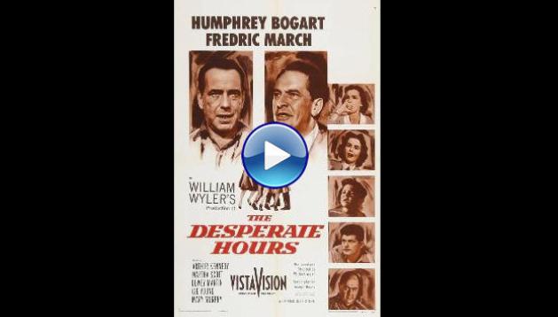 The Desperate Hours (1955) BluRay Full Movie Watch Online Free