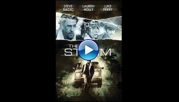 The Final Storm (2010)