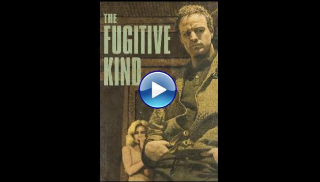 The Fugitive Kind (1960)