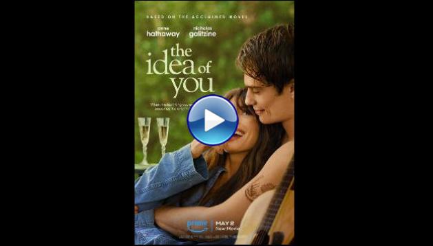 The Idea of You (2024)