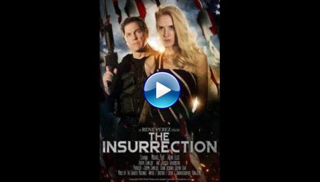 The Insurrection (2020)