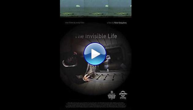 The Invisible Life (2013)