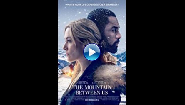 The Mountain Between Us (2017)