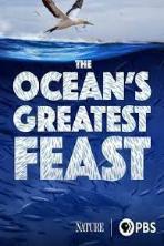 The Ocean�s Greatest Feast (2022)