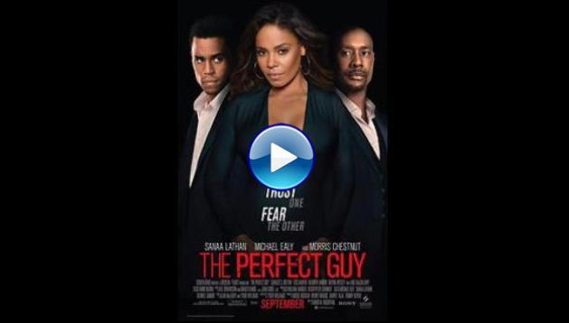 The Perfect Guy (2015)