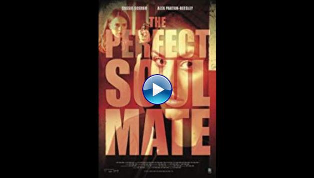 The Perfect Soulmate (2017)