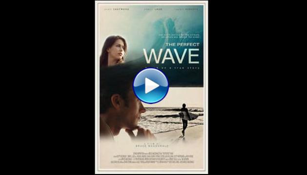 The Perfect Wave (2014)