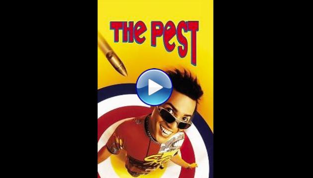 The Pest (1997)