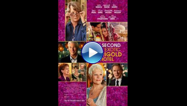 The Second Best Exotic Marigold Hotel (2015)