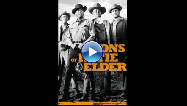 The Sons of Katie Elder (1965)