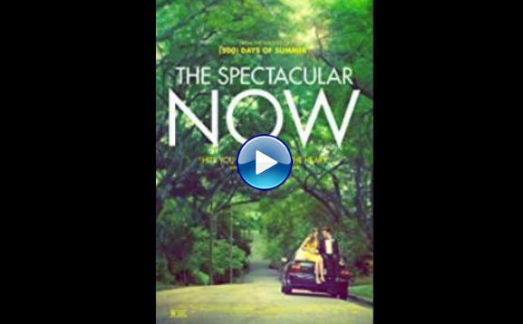 The Spectacular Now (2013)