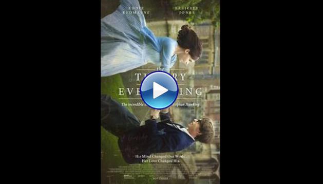 The Theory of Everything (2014)