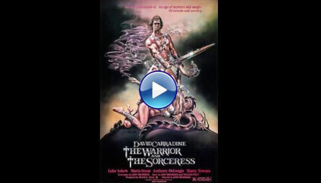 The Warrior and the Sorceress (1984)