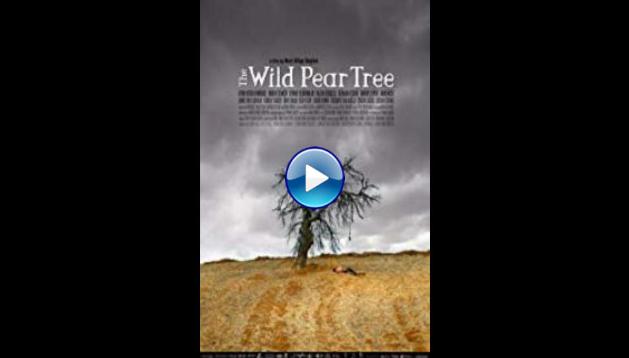 The Wild Pear Tree (2018)