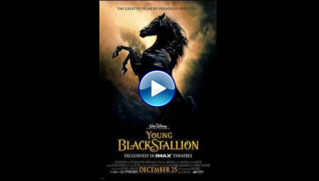 The Young Black Stallion (2003)
