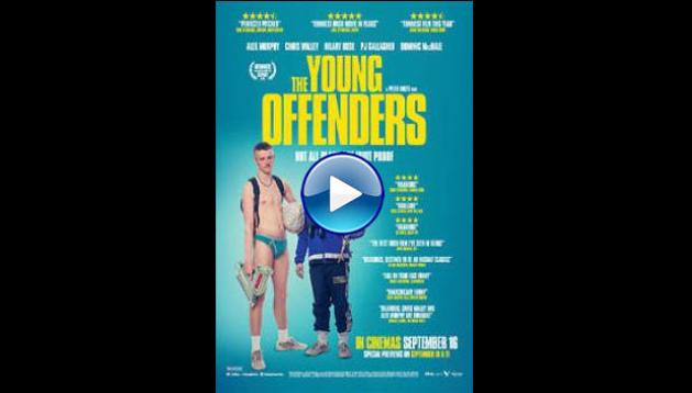 The Young Offenders (2016)