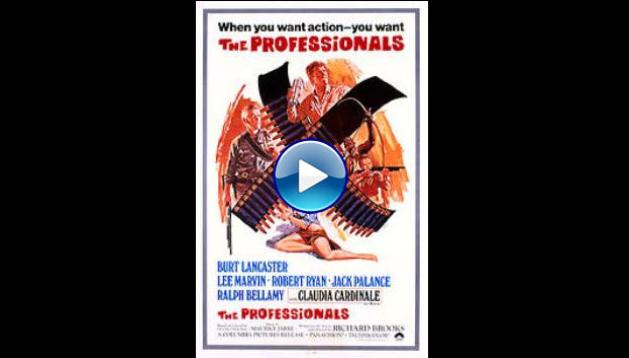 The professionals (1966)