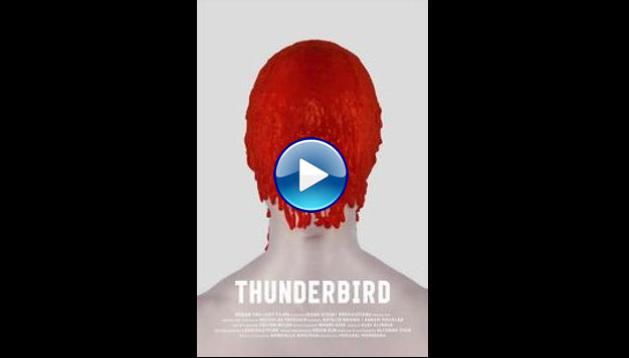 Thunderbird (2021)