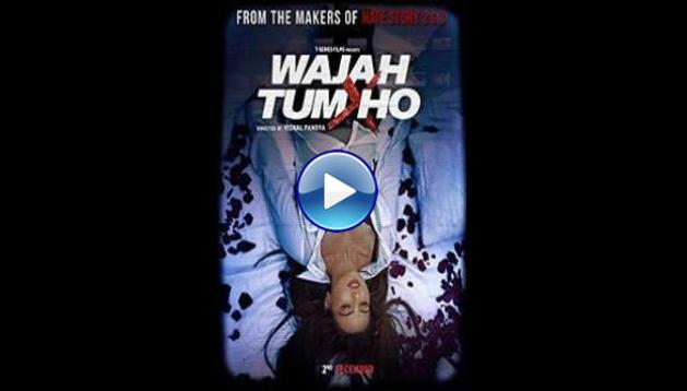 Wajah Tum Ho (2016)