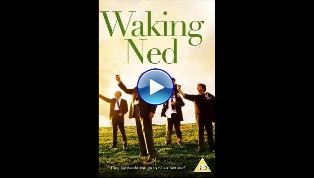 Waking Ned Devine (1998)