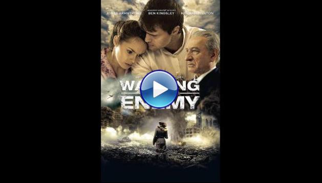 Walking with the Enemy (2013)