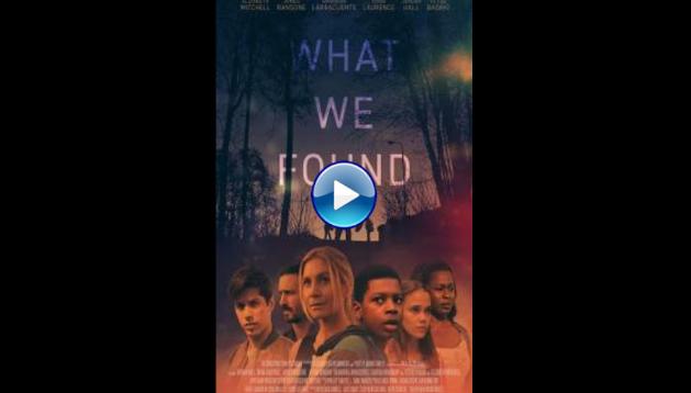 What We Found (2020)