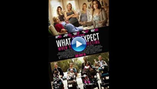 What to Expect When You're Expecting (2012)