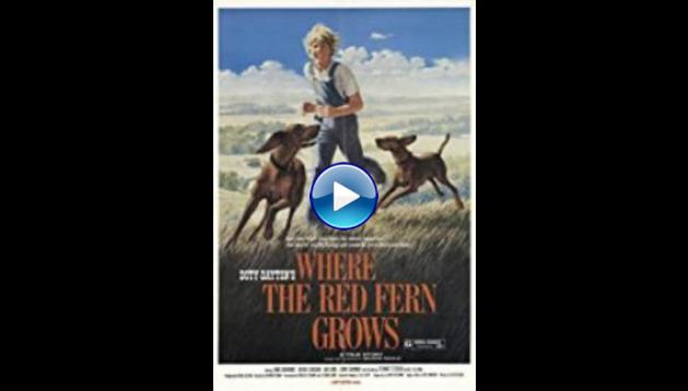 Where the Red Fern Grows (1974)