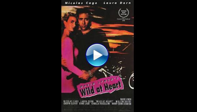 Wild at Heart (1990)