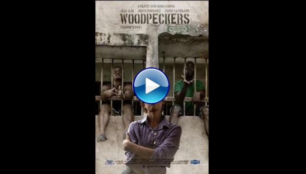 Woodpeckers (2017)