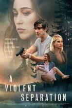 A Violent Separation (2019)