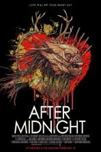 After Midnight (2019)