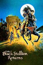 The Black Stallion Returns (1983)