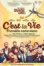 C'est la vie! (2017)