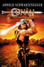 Conan the Destroyer (1984)