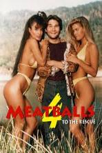 Meatballs 4 (1992)