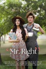 Mr. Right (2023)